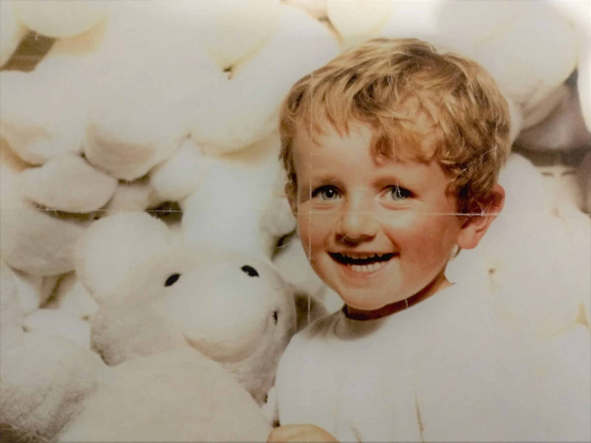 Conception de site internet